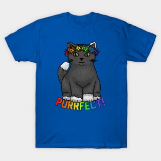 Purrfect Kitty T-Shirt